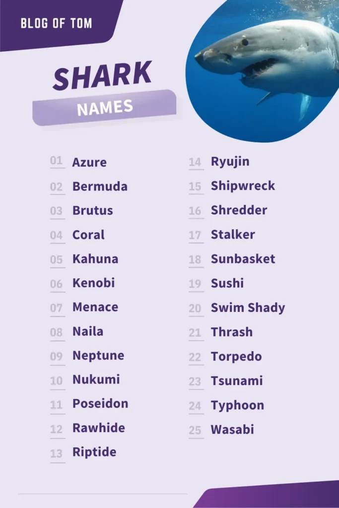 Choosing Names For A Shark: A Guide For Aquarium Owners