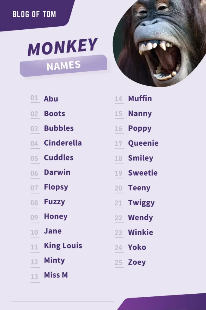 Creative Female Monkey Names: A Guide For Pet Owners