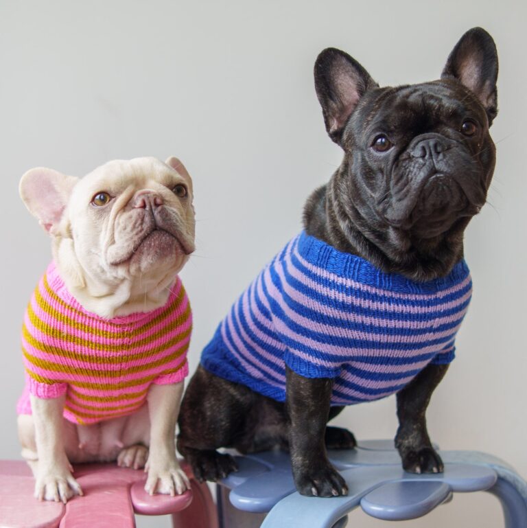 Choosing The Perfect Tiny Dog Sweater For Your Petite Pup